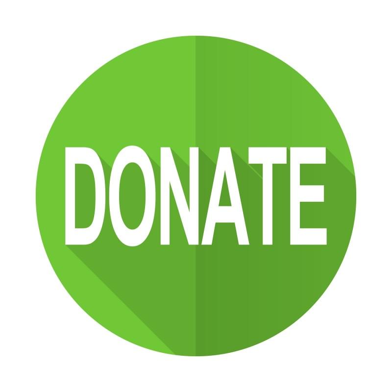 donate green flat icon