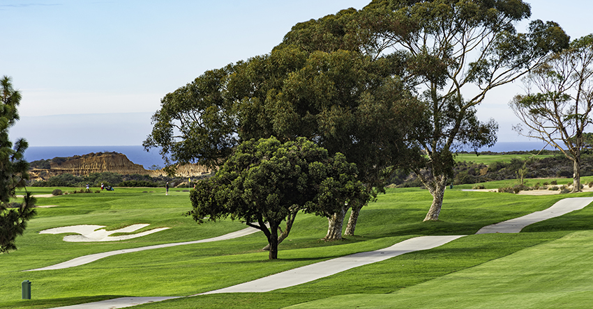 Taking a golf trip on a budget to San Diego, California.