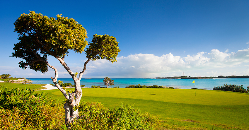 Golf trip in February to Royal Blue Golf Course - Baha Mar Nassau, Bahamas with Ship Sticks