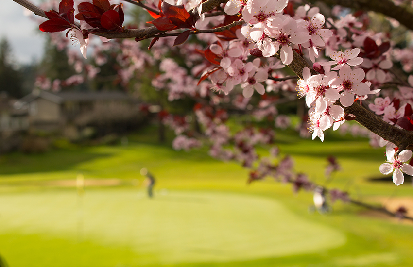 Relaxing spring golf trip