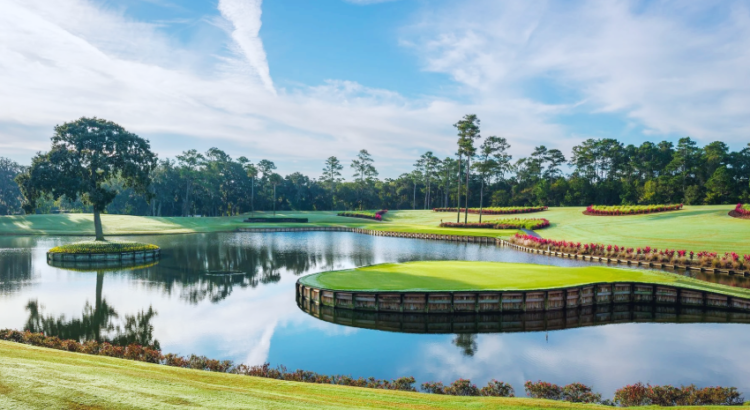 tpc sawgrass 17th hole