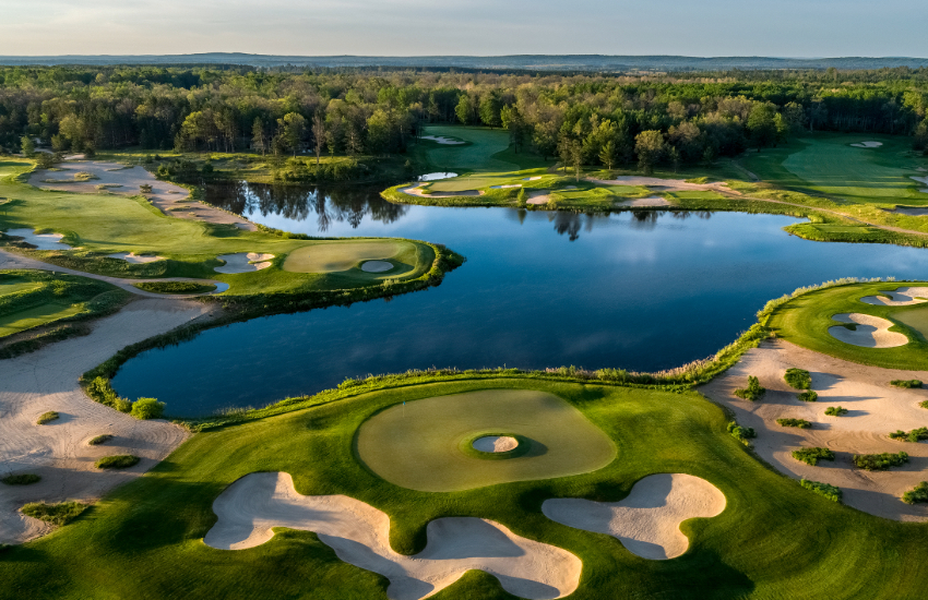 Forest dunes