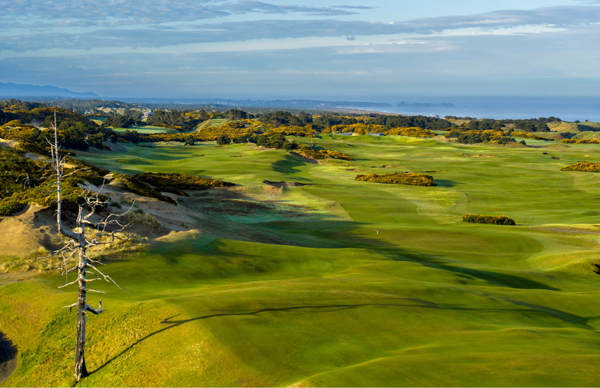 Old Macdonald Bandon Dunes